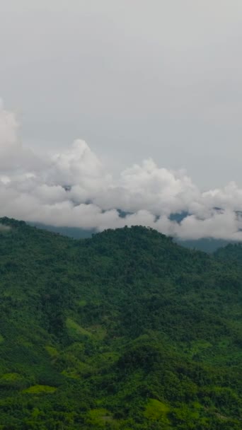 Luftaufnahme Der Tropischen Landschaft Mit Bergen Und Dschungel Borneo Sabah — Stockvideo