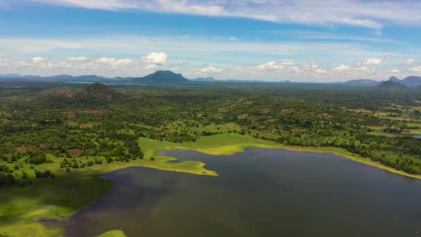 Aerial Drone Valley Lake Tropical Vegetation Blue Sky Clouds Sorabora — Stock Video