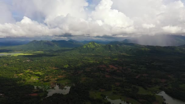 Aerial Dron Gruntów Rolnych Zasianych Zielonych Pól Wsi Sri Lanka — Wideo stockowe