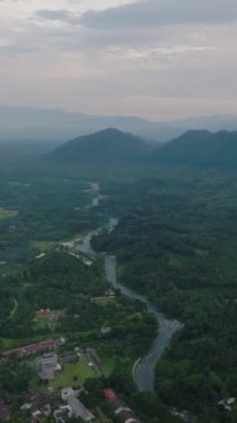 Orman ve yağmur ormanları arasındaki vadi manzarası. Bukit Lawang. Sumatra. Endonezya 'da. Dikey video.