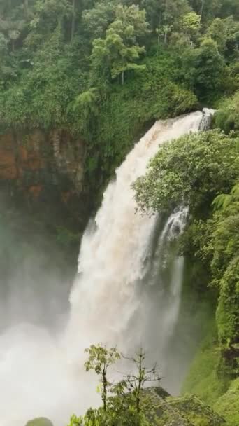 Dron Powietrzny Wodospadu Górskim Wąwozie Dżungli Wodospad Telun Berasap Sumatra — Wideo stockowe