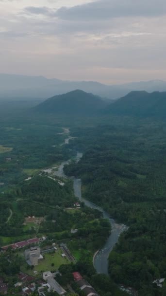 Top View Valley Jungle Rainforest Bukit Lawang Sumatra Indonesia Vertical — Stock Video