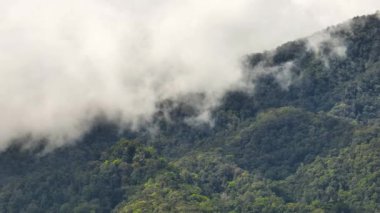 Yağmur ormanları ve ormanla kaplı dağ yamaçlarının üst manzarası. Sumatra, Endonezya.