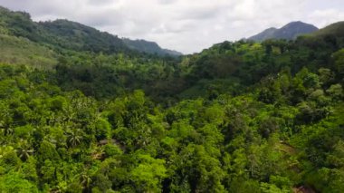 Sri Lanka 'nın dağlık bir bölgesinde yağmur ormanları ve tarım arazisi olan dağlar.