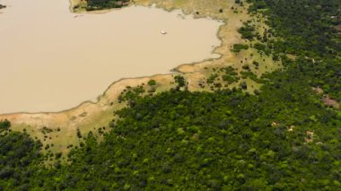 Orman ve tropik bitki örtüsüyle çevrili vahşi bir hayvanla dolu bir göl. Sri Lanka.