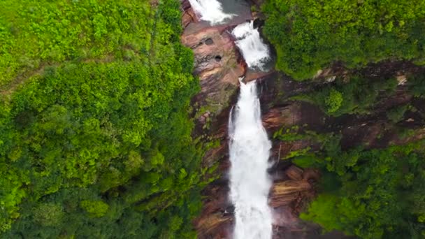 Wodospad Wśród Tropikalnej Dżungli Zielonymi Roślinami Drzewami Wodospad Gartmore Sri — Wideo stockowe