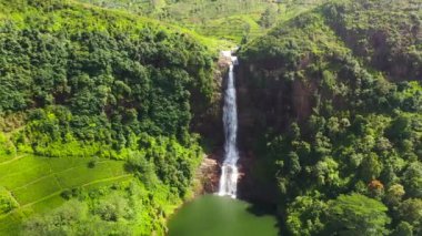 Dağlarda, çay tarlalarının arasında güzel bir şelale. Gartmore düşer. Maskeliya, Sri Lanka.