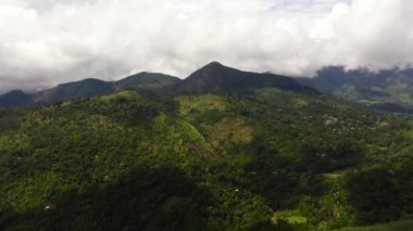 Tropik dağ sırası ve dağ yamaçlarında yağmur ormanları. Sri Lanka.