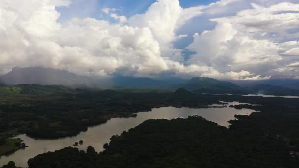 Selva Tropical Verde Selva Las Montañas Sri Lanka Vista Desde — Vídeos de Stock