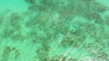 Mercan resifli lagündeki deniz suyu yüzeyi metin için uzayı kopyalıyor. Üst görünüm şeffaf turkuaz okyanus su yüzeyi.