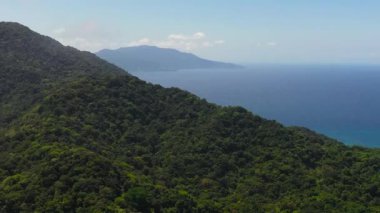 Tropikal ormanı ve mavi okyanusu olan dağlar. Tropik bir manzara. Filipinler.