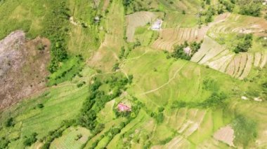 Kırsal kesimdeki dağların ve tepelerin arasındaki tarım arazisinin havadan görünüşü. Cebu Adası, Filipinler.