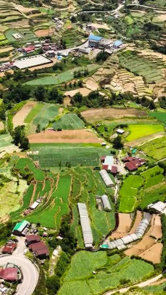Mezőgazdasági Ültetvények Rizs Teraszok Hegyoldalak Hegyvidéki Kilátás Felülről Fülöp Szigetek — Stock videók