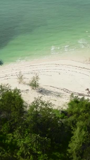 Tropisch Landschap Met Een Prachtig Strand Punta Sebaring Balabac Palawan — Stockvideo