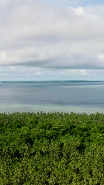 Tropikal Adası Denizde Kumlu Plajı Olan Bir Deniz Manzarası Balabac — Stok video