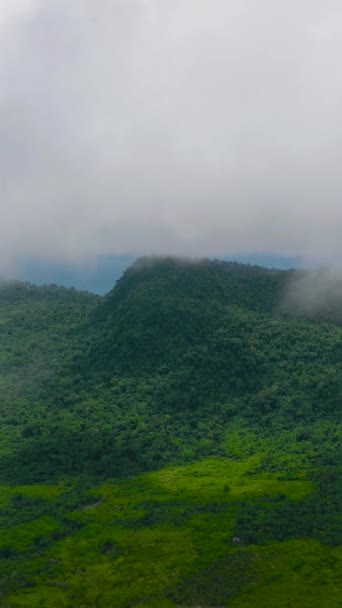 Vista Aérea Isla Está Cubierta Bosque Tropical Selva Balabac Palawan — Vídeos de Stock