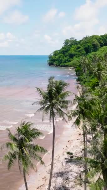 Vue Aérienne Des Palmiers Sur Côte Une Île Tropicale Balabac — Video