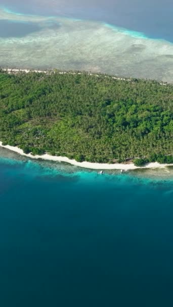 Vista Superior Ilha Tropical Com Uma Praia Oceano Praia Areia — Vídeo de Stock