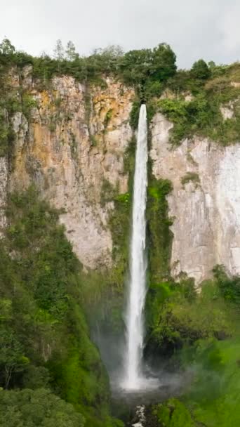 Водопад Тропическом Лесу Сиписо Пизо Падает Суматра Индонезия Вертикальное Видео — стоковое видео