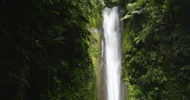 Yeşil bitki örtüsüyle çevrili tropikal bir ormanda şelalenin insansız hava aracı. Casaroro Şelalesi. Zenciler, Filipinler.