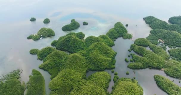 Top Kilátás Trópusi Szigetre Öbölben Szigetek Csoportjai Lagúnákban Sipalay Negros — Stock videók