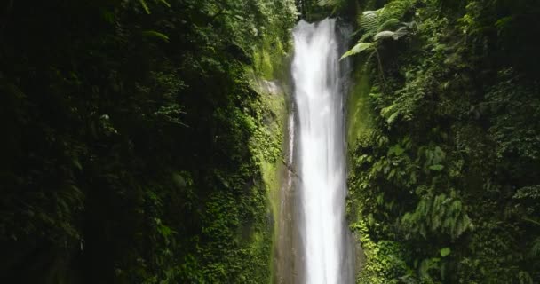 Dron Aéreo Cascada Bosque Tropical Rodeado Vegetación Verde Casaroro Falls — Vídeos de Stock