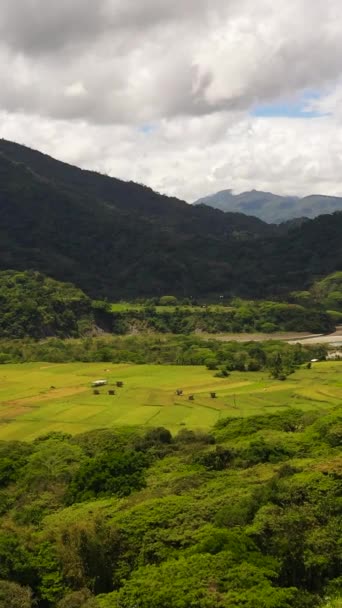 ジャングルと熱帯雨林の間の山々の農地のトップビュー フィリピン — ストック動画