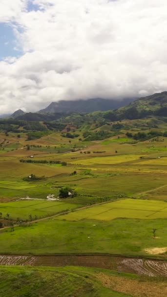 緑の森と農地や山の空中ドローン フィリピン — ストック動画
