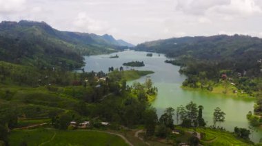 Hills with tea plantations around the lake in the mountains. Maskeliya, Castlereigh, Sri Lanka.