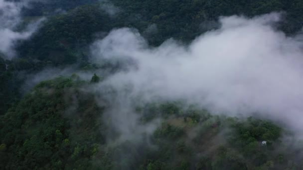 Luchtfoto Drone Van Bergen Bossen Bedekt Met Mist Wolken Schemering — Stockvideo