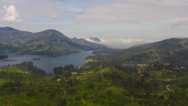 Top Άποψη Της Λίμνης Μεταξύ Τσάι Estate Στα Βουνά Φυτείες — Αρχείο Βίντεο