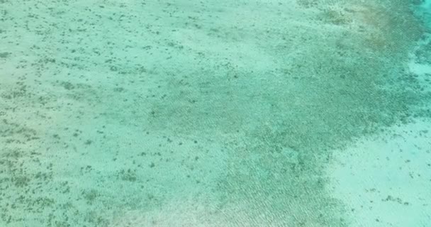 Вид Повітря Поверхню Морської Води Лагуні Прозора Бірюзова Морська Вода — стокове відео