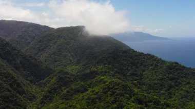 Tropikal ormanı ve mavi okyanusu olan dağların insansız hava aracı. Tropik bir manzara. Filipinler.