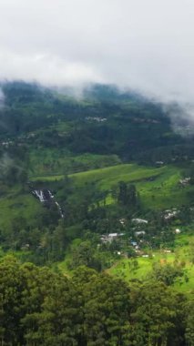 Dağlardaki çay tarlaları. Yeşil çay arazisinin havadan görünüşü. Sri Lanka. Dikey video.
