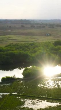 Güneş kırsal alandaki nehrin yüzeyine yansıyor. Gün batımında kırsal ve otlayan sığırlar. Sri Lanka.