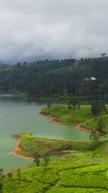 Yeşil tepeler ve güzel bir göl arasındaki çay arazisinin havadan görünüşü. Castlereigh Barajı, Sri Lanka.