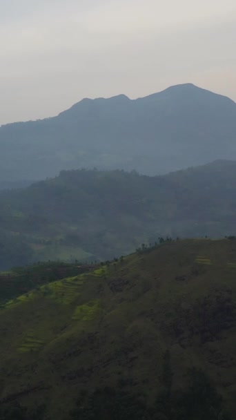 熱帯雨林と農地を持つ山の斜面のトップビュー スリランカ バーティカルビデオ — ストック動画