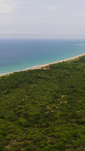ヤシの木と海のサーフィンを備えた砂浜の空中ビュー スリランカ バーティカルビデオ — ストック動画