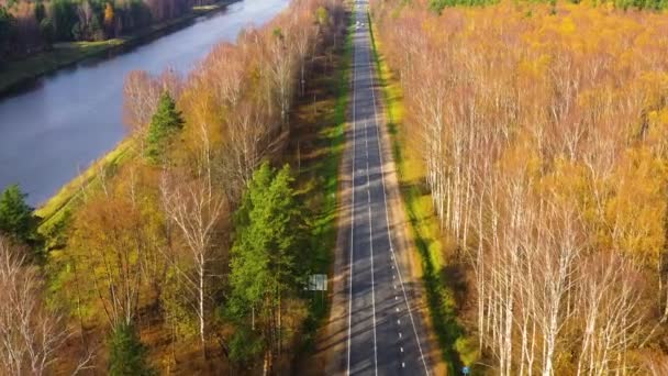 Route Travers Forêt Automne Avec Espace Copie Haut Autoroute Dans — Video