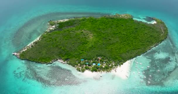 Tropikalna Wyspa Piaszczysta Plaża Morzu Wyspa Dziewicza Filipiny — Wideo stockowe