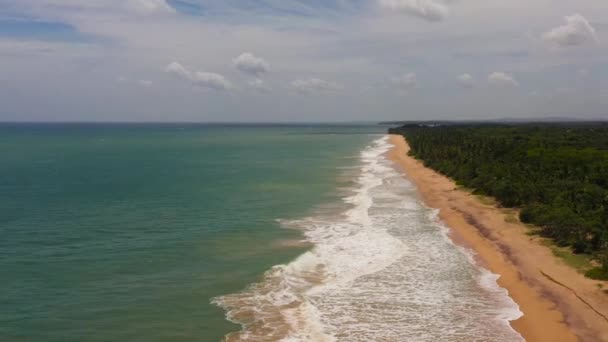 Seyahat Konsepti Güzel Bir Kumsal Mavi Bir Okyanusun Üzerinde Uçmak — Stok video