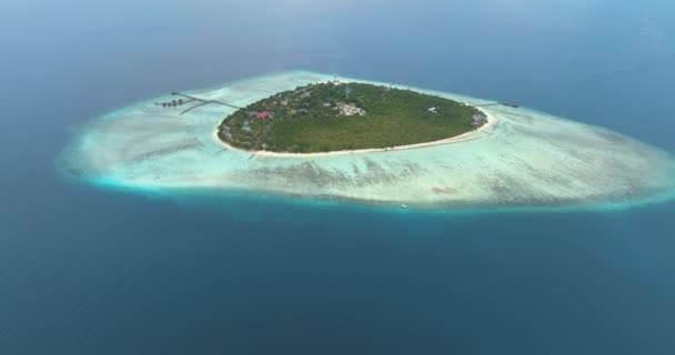 Tropiklerde Plaj Mercan Resifleri Olan Adanın Üst Manzarası Pom Pom — Stok video