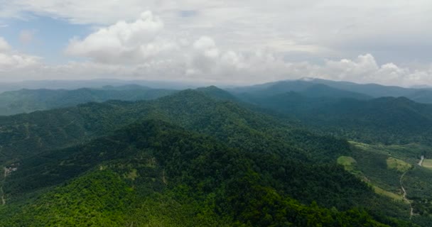 Berghänge Mit Regenwald Und Dschungel Blick Von Oben Borneo Malaysia — Stockvideo