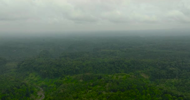 パーム油プランテーションと熱帯雨林のトップビュー スマトラ インドネシア — ストック動画