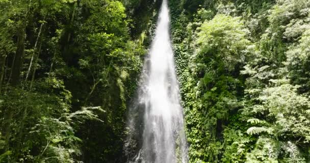 緑の森の滝について ジャングルのパラン チュービッグ滝 ネグロス フィリピン — ストック動画