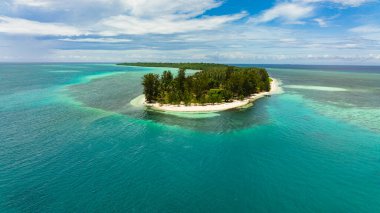 Tropikal bir adadaki kumlu sahilin havadan görünüşü. Canabungan Adası, Balabac, Palawan. Filipinler.
