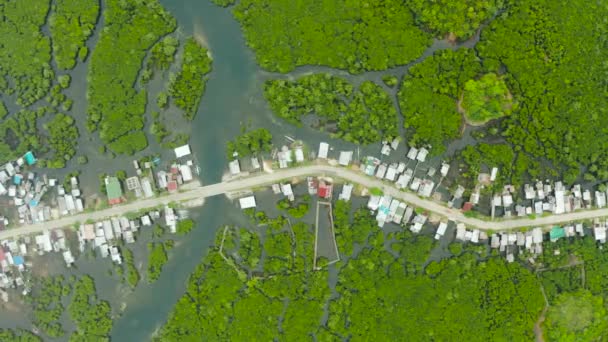 Autostrada Przez Las Namorzynowy Przechodzący Przez Wieś Widok Lotu Ptaka — Wideo stockowe