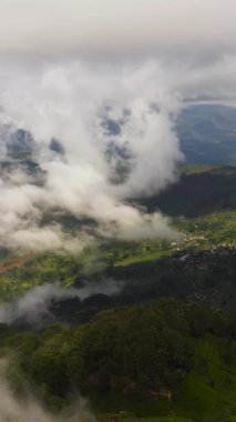 Dağlardaki çay tarlaları arasındaki çiftçi köyünün havadan görünüşü. Dambatenne, Sri Lanka.