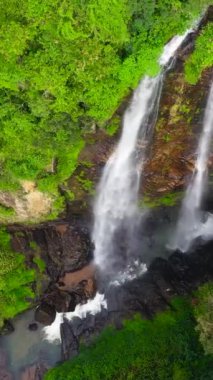 Yağmur ormanları ve bitki örtüsü arasında güzel bir şelale. Puna Ella Şelalesi 'nin havadan görüntüsü. Sri Lanka. Dikey video.