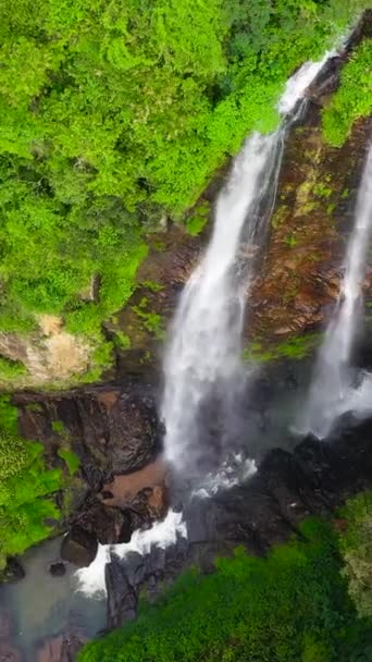 一个美丽的瀑布落在热带雨林和植被之间 普纳艾拉瀑布的空中景观 斯里兰卡 垂直录像 — 图库视频影像